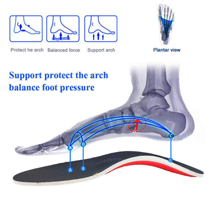 DTRF Orthotic Sport Insoles